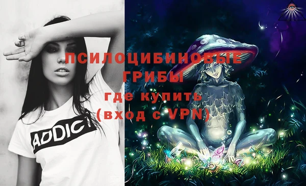 мяу мяу мука Алзамай