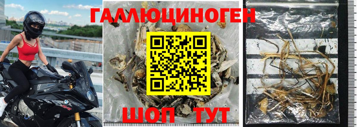 Псилоцибиновые грибы прущие грибы  Вход с VPN  Крымск 