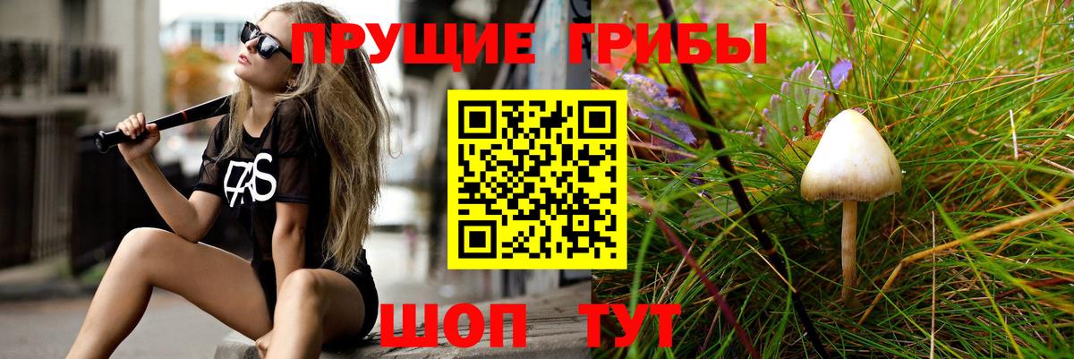 Галлюциногенные грибы Magic Shrooms Крымск